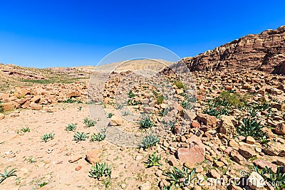 General view at Petra the ancient City Al Khazneh in Jordan Stock Photo