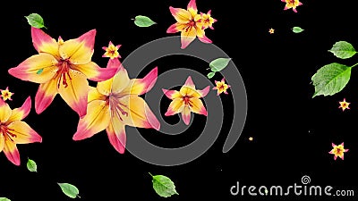 Animation of Flowers Spinning in Hypnotic Motion on Yellow Background Stock  Footage - Video of video, floral: 221243148