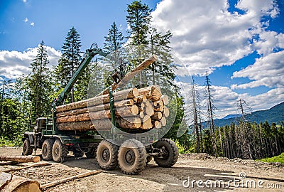 Felling of trees, cut trees. Truck loading wood in the forest. Loading logs onto a logging truck. Portable crane on a Stock Photo
