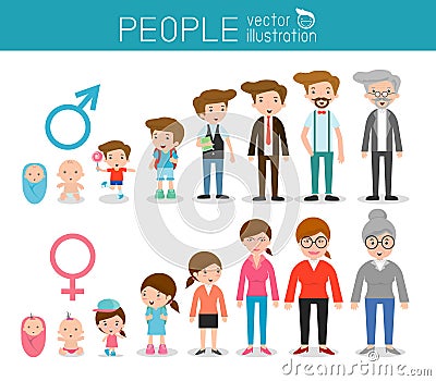 Generation of people from infants to juniors. all age categories. isolated on white background, generation of people man and woman Vector Illustration