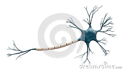 Generic blue neuron cell model isolated on a white background with copy space. Science, neuroscience, biology, microbiology, Cartoon Illustration