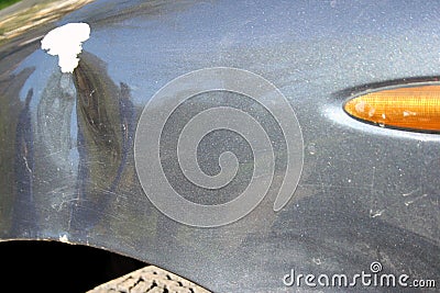 InfecGeneric car damage. Minor accident result.tion of tree bark Stock Photo