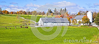 Generic Dairy farm Stock Photo