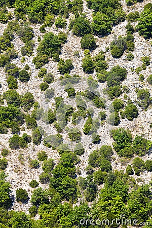 Generic mountain vegetation. Aerial view. Trees and terrain. Stock Photo