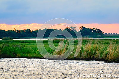 Louisiana Bayou Scene Stock Photo