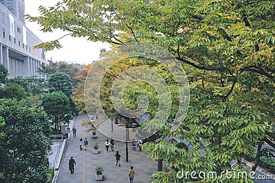 .a Generic view of street in Shinjuku Tokyo, japan 3 Nov 2013 Editorial Stock Photo