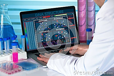 genetic engineer using computer with structure test dna in biotechnology lab Stock Photo