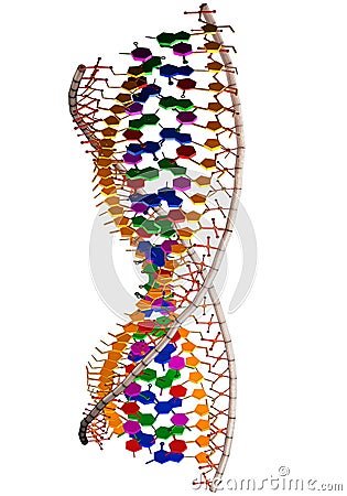 Genetic engineering Cartoon Illustration