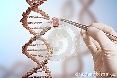 Genetic engineering and gene manipulation concept. Hand is replacing part of a DNA molecule Stock Photo