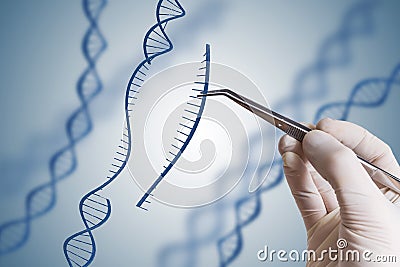 Genetic engineering, GMO and Gene manipulation concept. Hand is inserting sequence of DNA Stock Photo