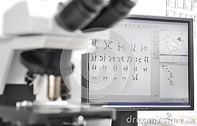 Genetic Investigation Stock Photo