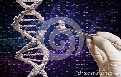 Genetic manipulation and DNA modification concept Stock Photo