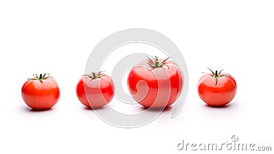 Genetic modification on Tomatoes Stock Photo