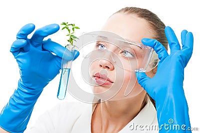 Genetic modified plant Stock Photo