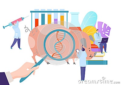 Genetically modern modified animal, scientific research fellow experimental pig flat vector illustration, isolated on Vector Illustration