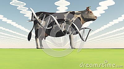 Genetically modified cow Stock Photo