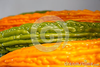 Genetically modified cucumber ... in ... well! Stock Photo