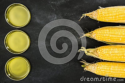 Genetically modified gold corns and edible oil Stock Photo