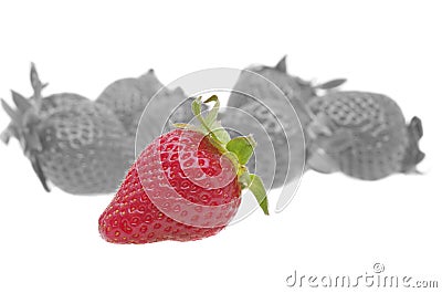 Genetically strawberry concept Stock Photo