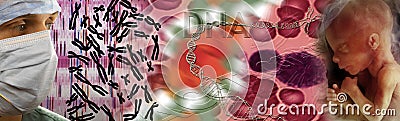 Genetics - DNA - Fetus Stock Photo