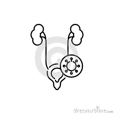 Genitourinary system virus disease color line icon. Pictogram for web page Vector Illustration