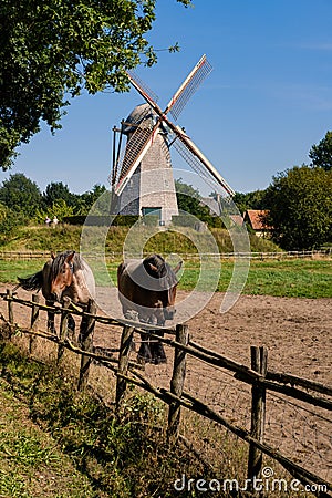 Genk, Flanders, Belgium - AUGUST 30 2019 : rural flemish landscape with 2 horses, a wooden fence and an old traditional windmill Editorial Stock Photo