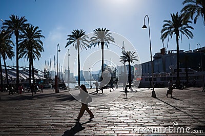 Silhouettes of Biosfera zoo, building of aquarium of Genova, ferryboat and palm trees against blue sky Editorial Stock Photo