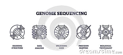 Genome sequencing icons depict decoding, data analysis, and precision mapping. ... Vector Illustration