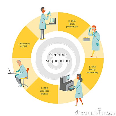 Genome sequencing workflow Vector Illustration