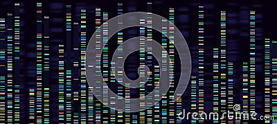 Genomic analysis visualization. Dna genomes sequencing, deoxyribonucleic acid genetic map and genome sequence analyse Vector Illustration