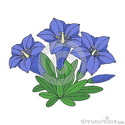 Gentian flower bouquet. Montain wildflower. Hand drawn outline sketch. Vector Illustration