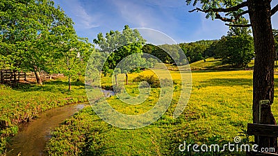 Gentle babbling brook wanders through fields of buttercups Stock Photo