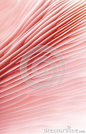 Gentle pink abstract background pink mycology Stock Photo