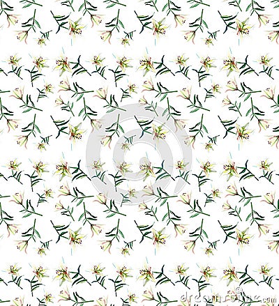 Gentle refined beautiful pattern of white beige powdery lilies watercolor Cartoon Illustration