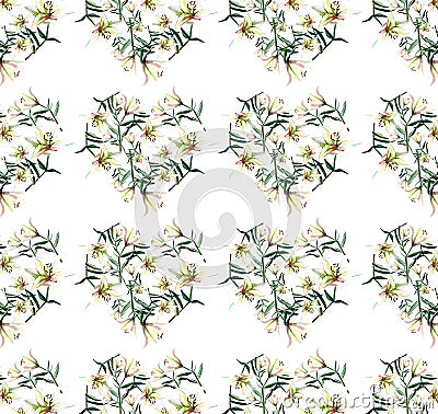 Gentle refined beautiful spring pattern of white beige powdery hearts lilies on white background Cartoon Illustration