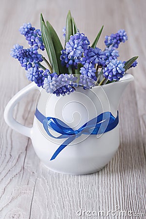 Gentle spring bouquet of blue muscari flowers in a jug Stock Photo