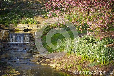 A gentle waterfall going into a stream with pink spring flowers. Stock Photo