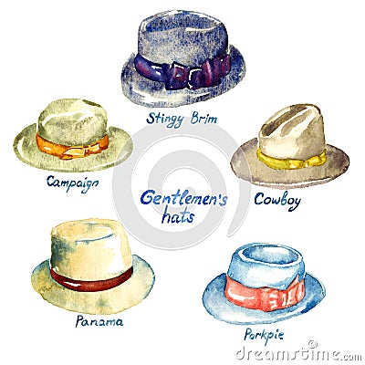 Gentlemen`s hats types Cartoon Illustration