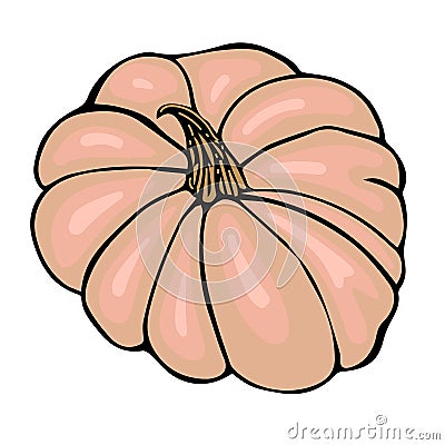 gently cream colored pumpkin sketch isolated on white background Cartoon Illustration