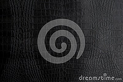 Genuine black Crocodile leather background in dark tone beautiful Stock Photo