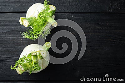 Genuine and fresh raw fennel, on black wooden table, top view with space for text Stock Photo