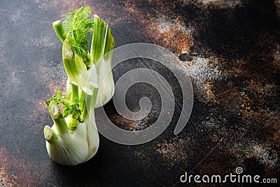 Genuine and fresh raw fennel, on old rustic background with space for text Stock Photo