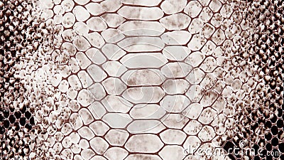 Grey reptile skin leather texture background Stock Photo