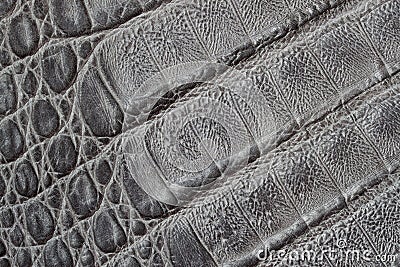 Genuine leather texture background, crocodile skin print, matte surface, fashion pattern. Diagonal arrangement. Concept Stock Photo