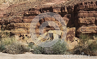 Geological Detail and Wildflowers in the Makhtesh Ramon Crater in Israel Stock Photo