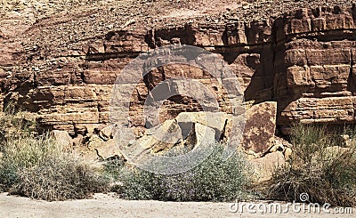 Geological Detail and Wildflowers in Wadi Ardon in the Makhtesh Ramon Crater in Israel Stock Photo