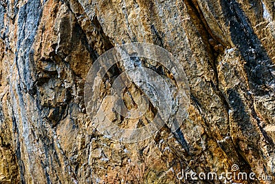 Geological rock full of veins in a background composition close up Stock Photo