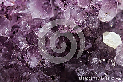 Gemstone Amethyst closeup as a part of cluster geode filled with rock Quartz crystals. Stock Photo