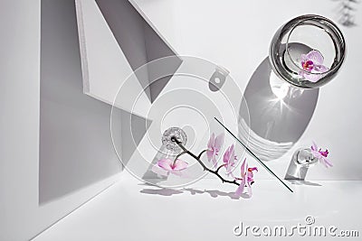 Geometric angular composition with phalaenopsis orchid flowers, different glass objects and shadows on a white Stock Photo