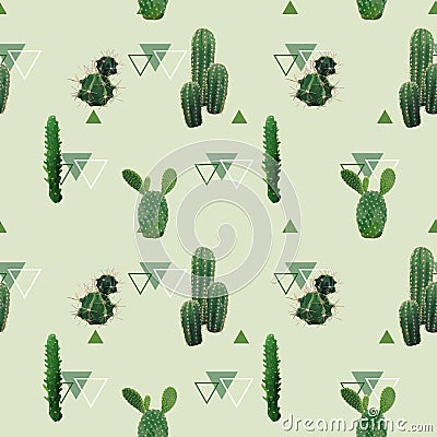 Geometric Cactus Plant Seamless Pattern. Exotic Tropical Summer Botanical Background Vector Illustration